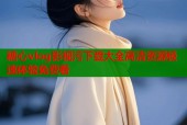 糖心vlog影视污下载大全高清资源极速体验免费看