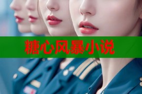 糖心风暴小说