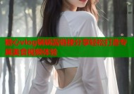 糖心vlog锅锅酱链接分享轻松打造专属美食视频体验