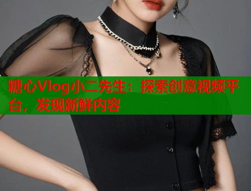 糖心Vlog小二先生：探索创意视频平台，发现新鲜内容  第1张