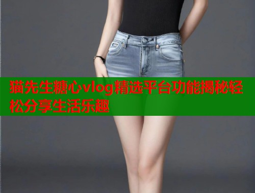 猫先生糖心vlog精选平台功能揭秘轻松分享生活乐趣  第1张
