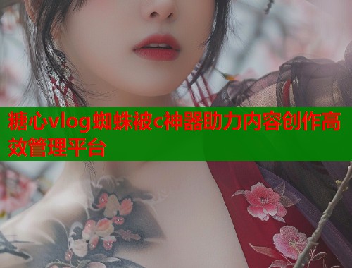 糖心vlog蜘蛛被c神器助力内容创作高效管理平台  第1张